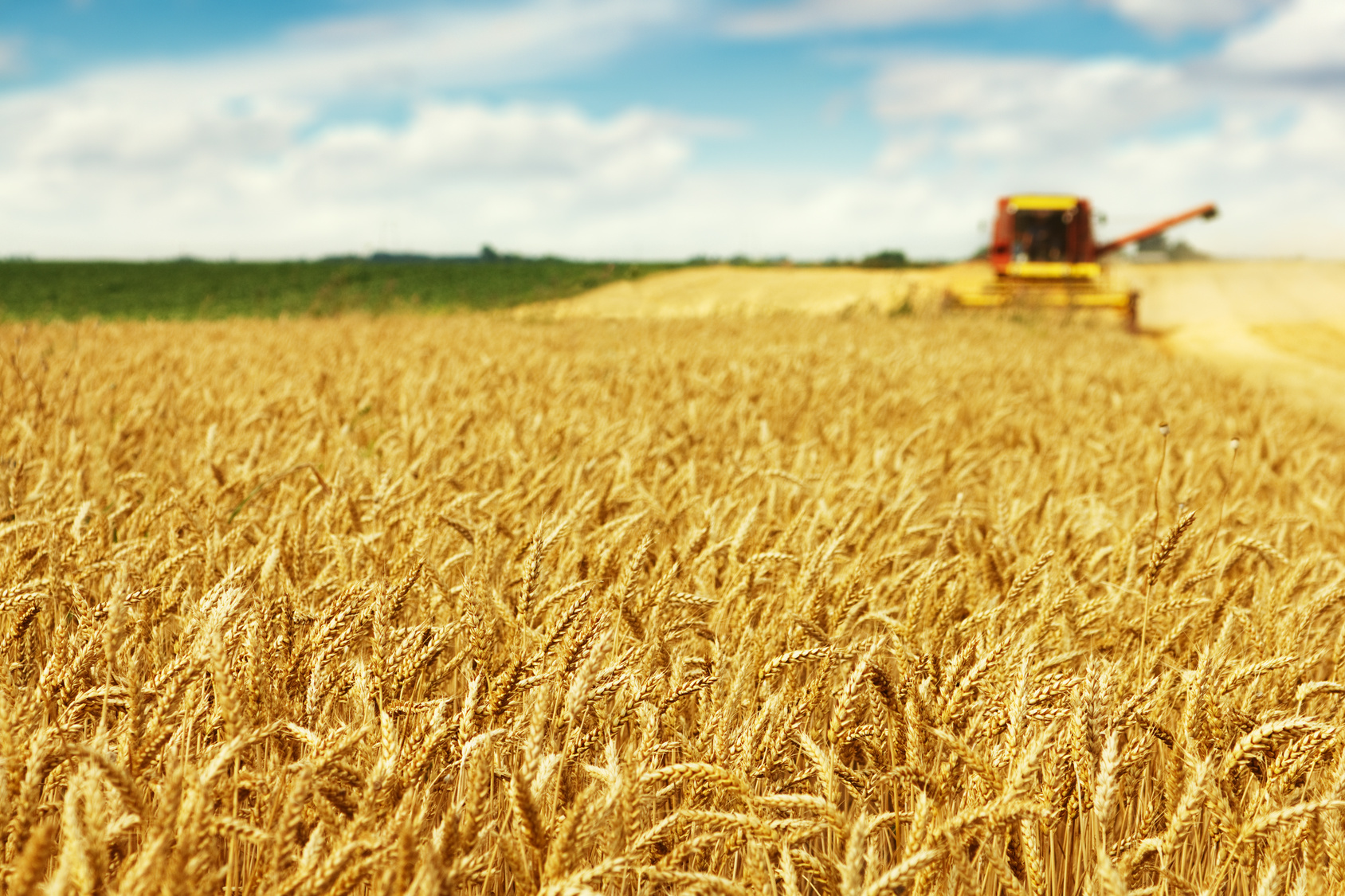 Agroindústria | Central Pronatec Curso Técnico em Agroindústria | Central Pronatec
